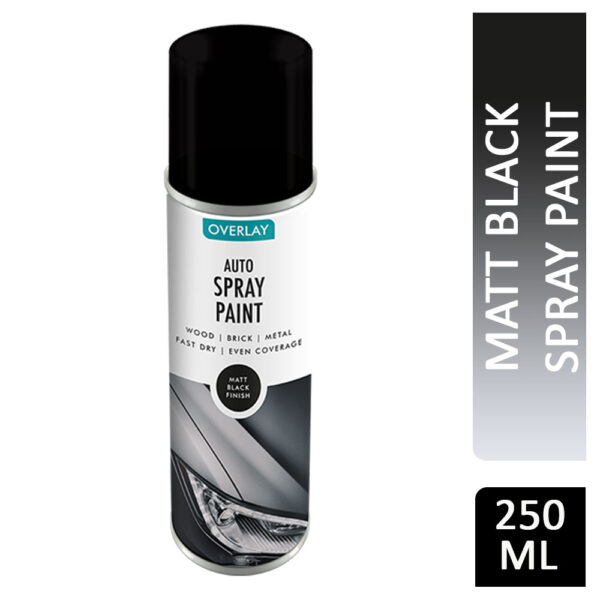Auto Spray Paint Matt Black 250ml