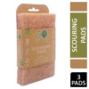 Go Green Scouring Pads 3s